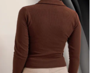 Casual Polyester Blend Ribbed Collar V-Neck & Regular Long Sleeves Stylish Sky Top - Image 5